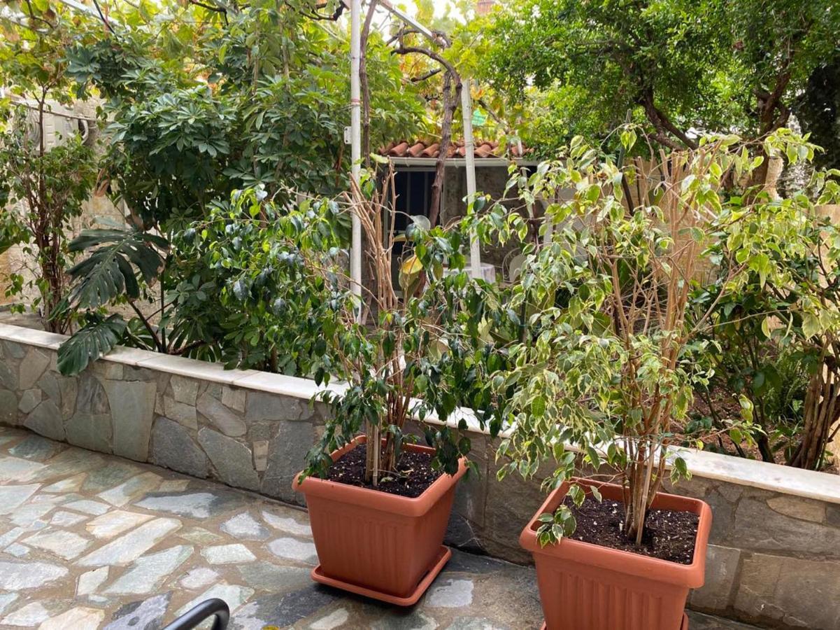 Garden View Apartment *