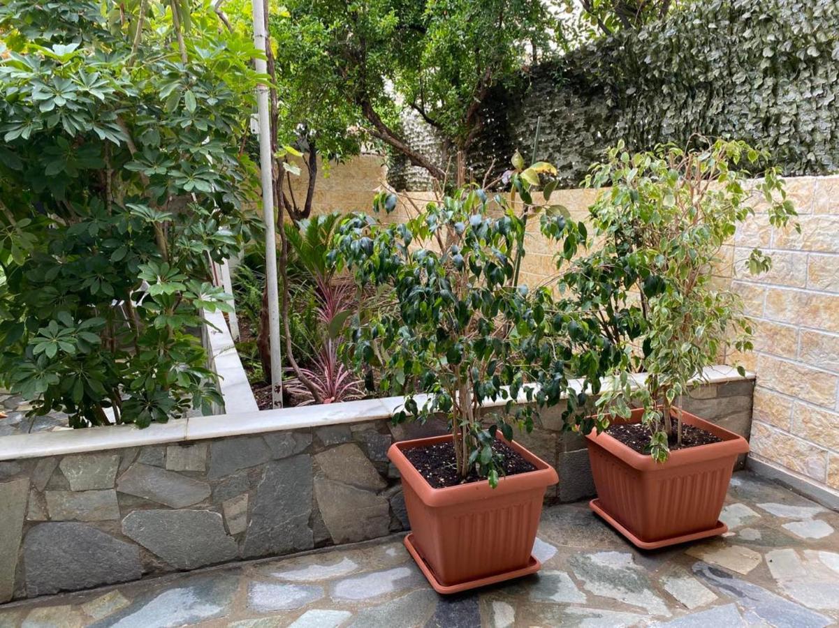 Garden View *